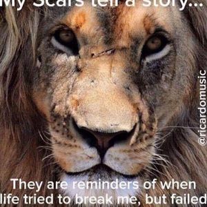 Meet your Posher, Fred